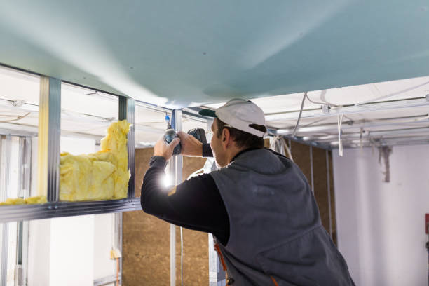 Best Attic Insulation Installation  in Porter Heights, TX