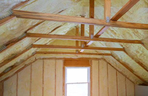 Best Blown-in Insulation  in Porter Heights, TX