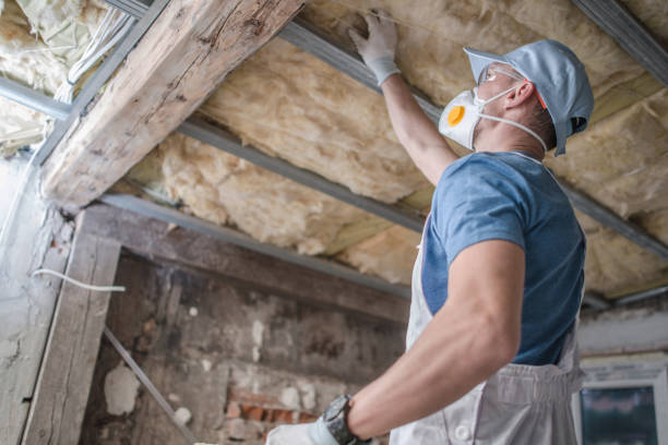 Best Home Insulation Services  in Porter Heights, TX