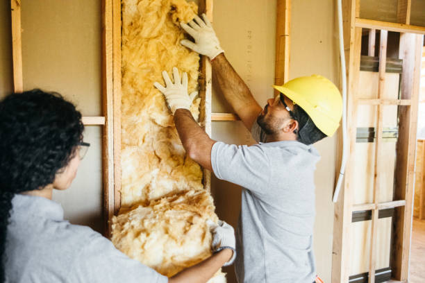 Best Spray Foam Insulation  in Porter Heights, TX