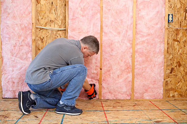 Best Energy-efficient Insulation  in Porter Heights, TX