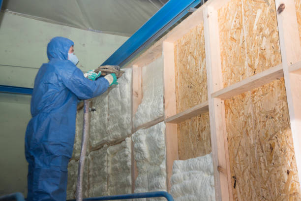 Best Insulation Replacement Services  in Porter Heights, TX