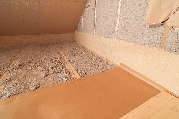 Best Insulation Repair Services  in Porter Heights, TX