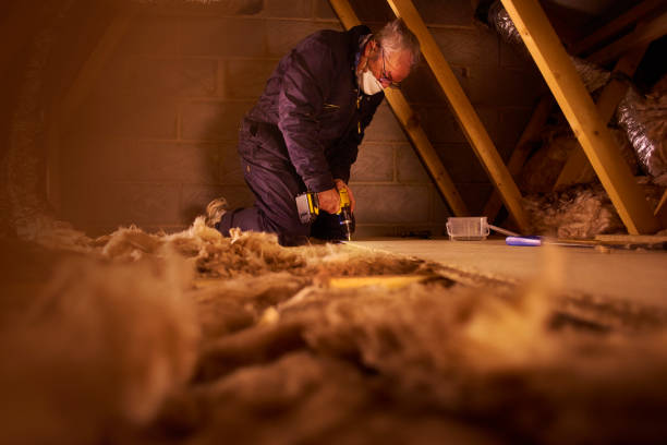 Best Insulation Repair Services  in Porter Heights, TX